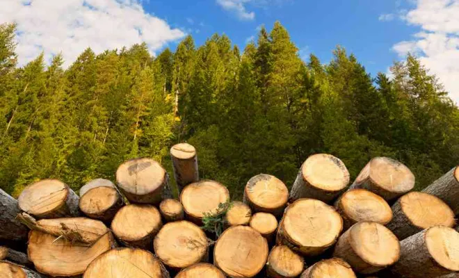 Vente de bois pour chauffage, Vonnas, MJ Multiservices